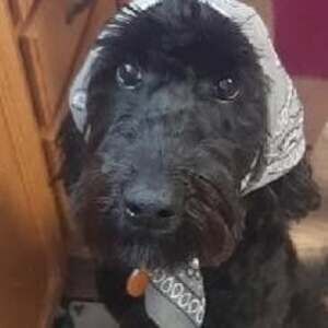 Meet your Posher, Pam